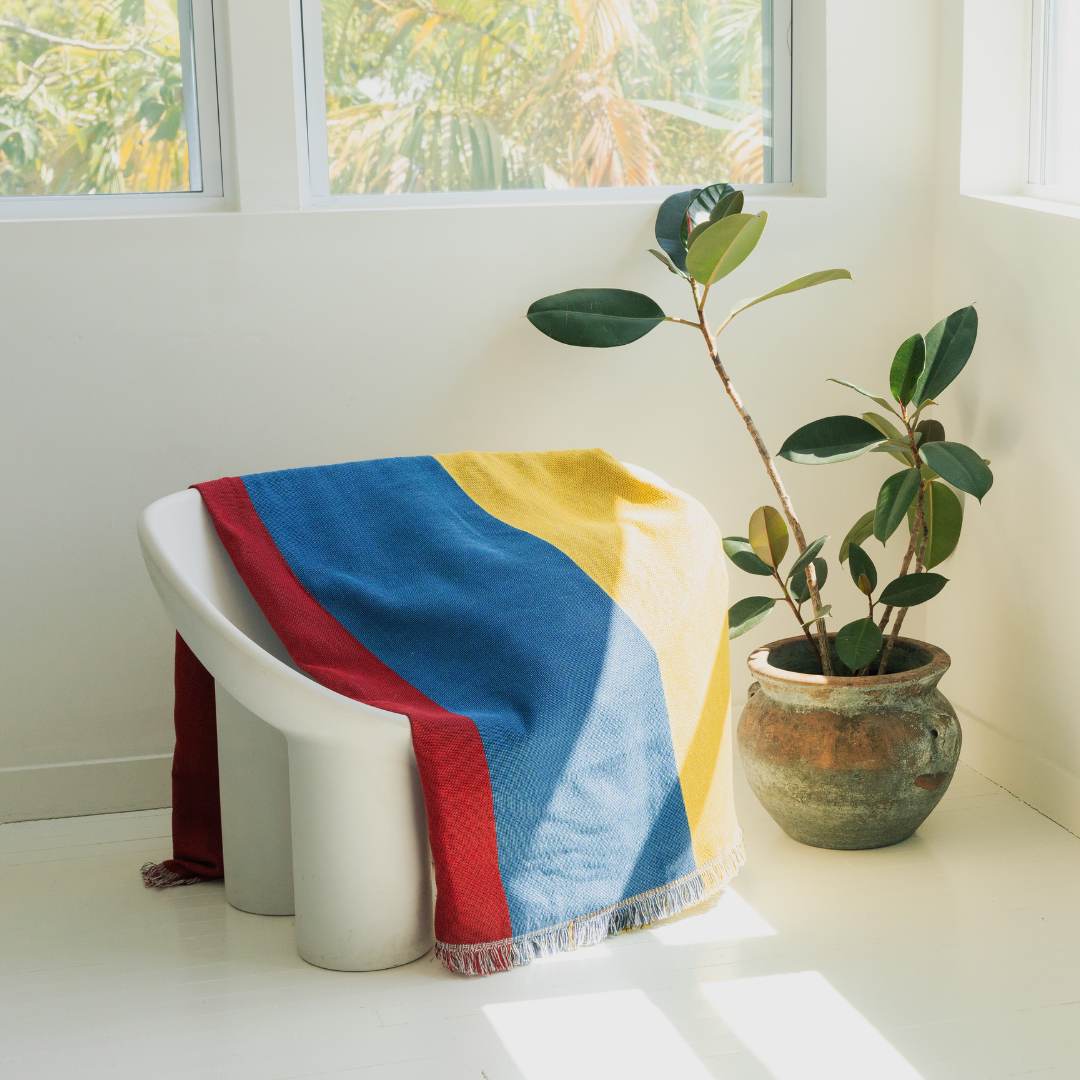 COLOMBIA Woven Throw Blanket | 50x70 in