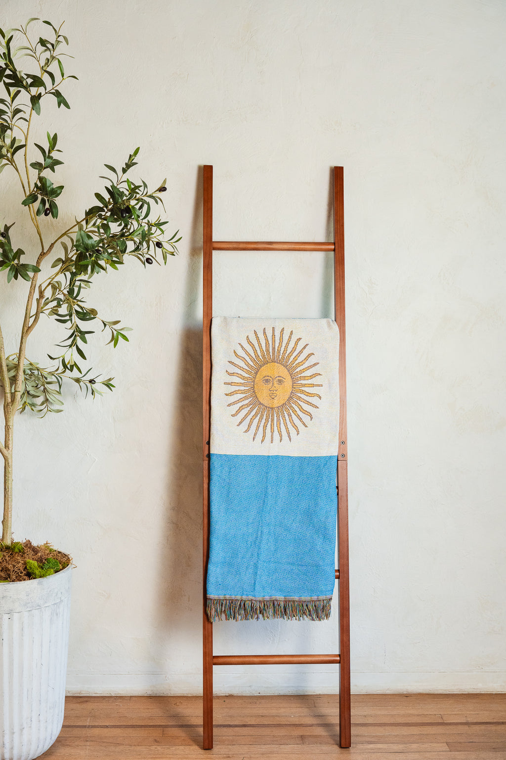 ARGENTINA Woven Throw Blanket | 50x70 in