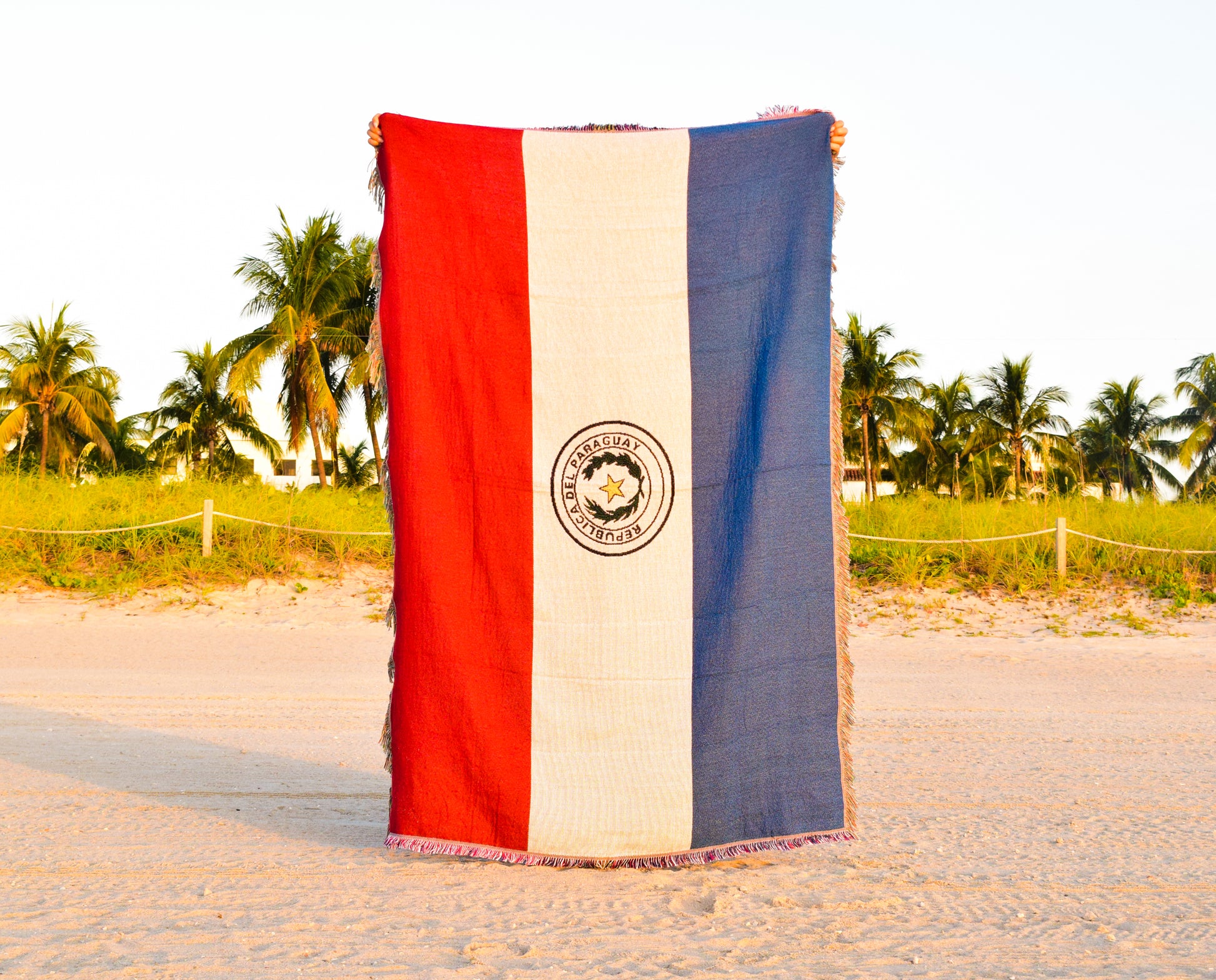 Paraguay Woven Throw Blanket
