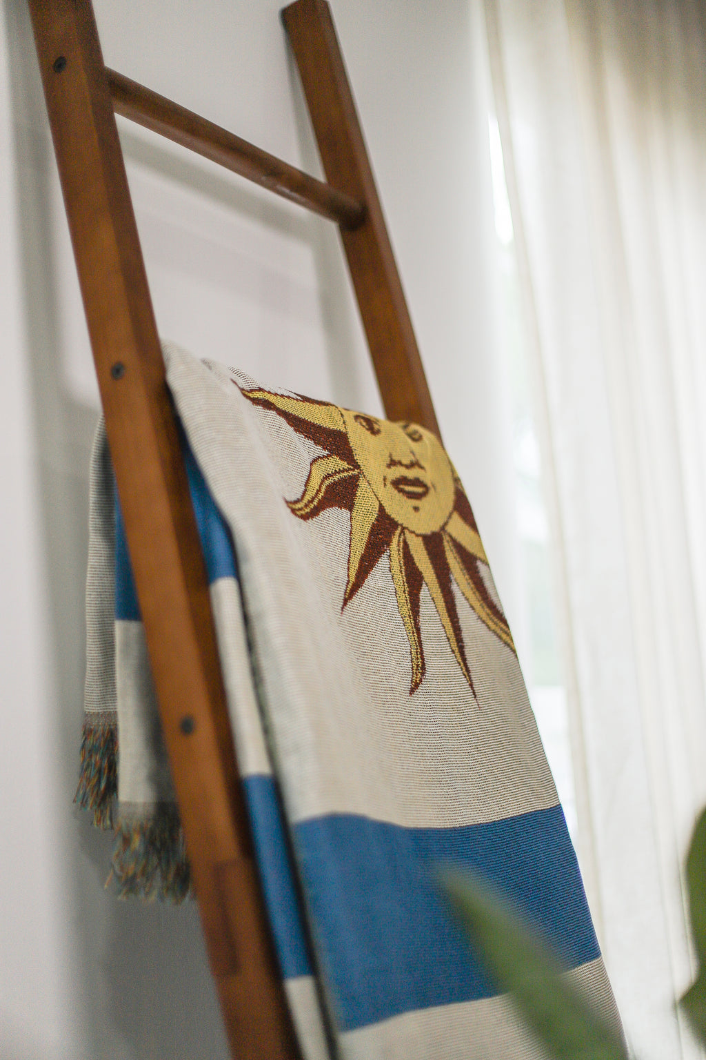 URUGUAY Woven Throw Blanket | 70x50 in