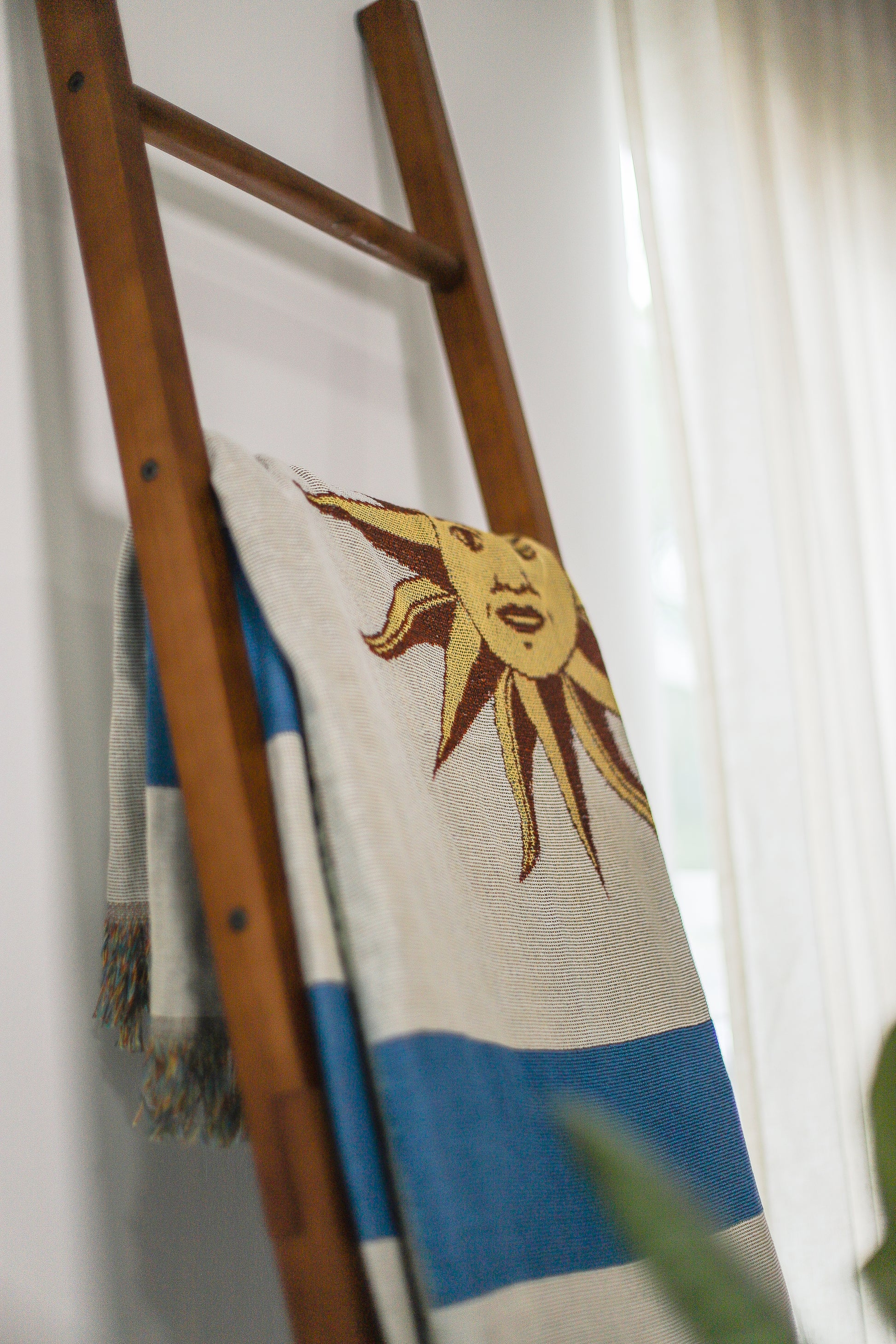 URUGUAY Woven Throw Blanket | 70x50 in