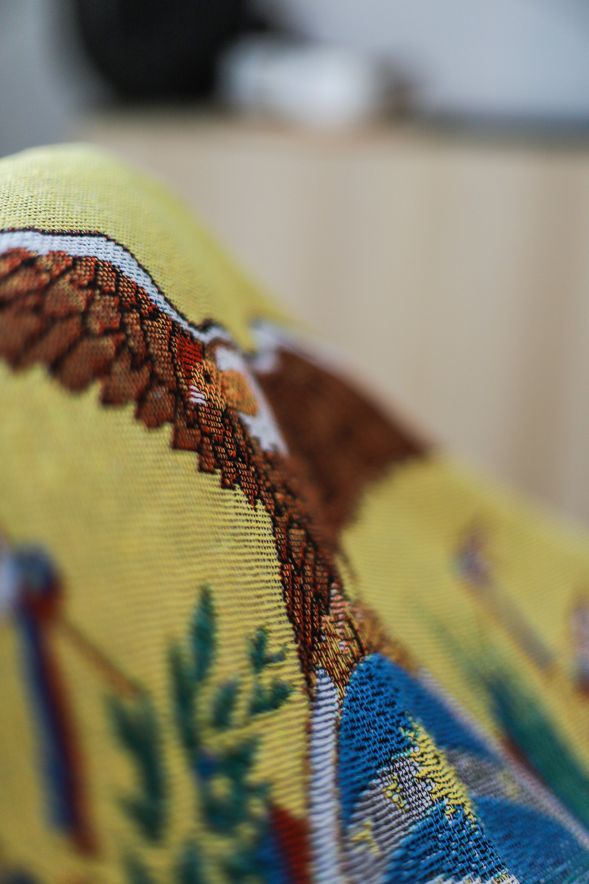 ECUADOR Woven Throw Blanket | 70x50 in