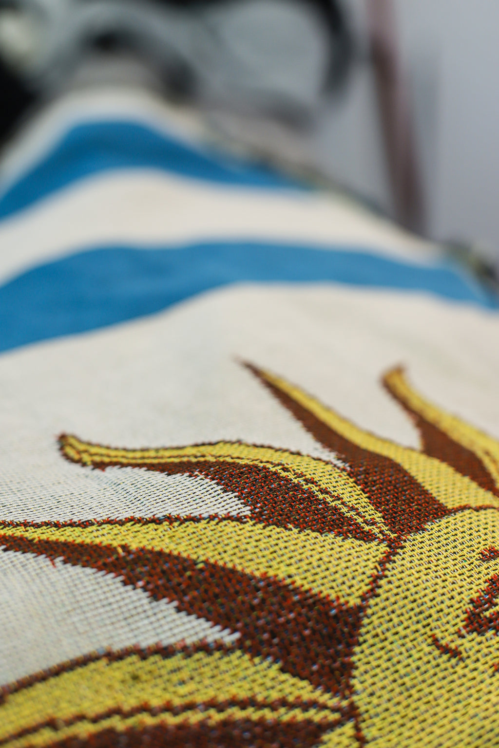 URUGUAY Woven Throw Blanket | 70x50 in