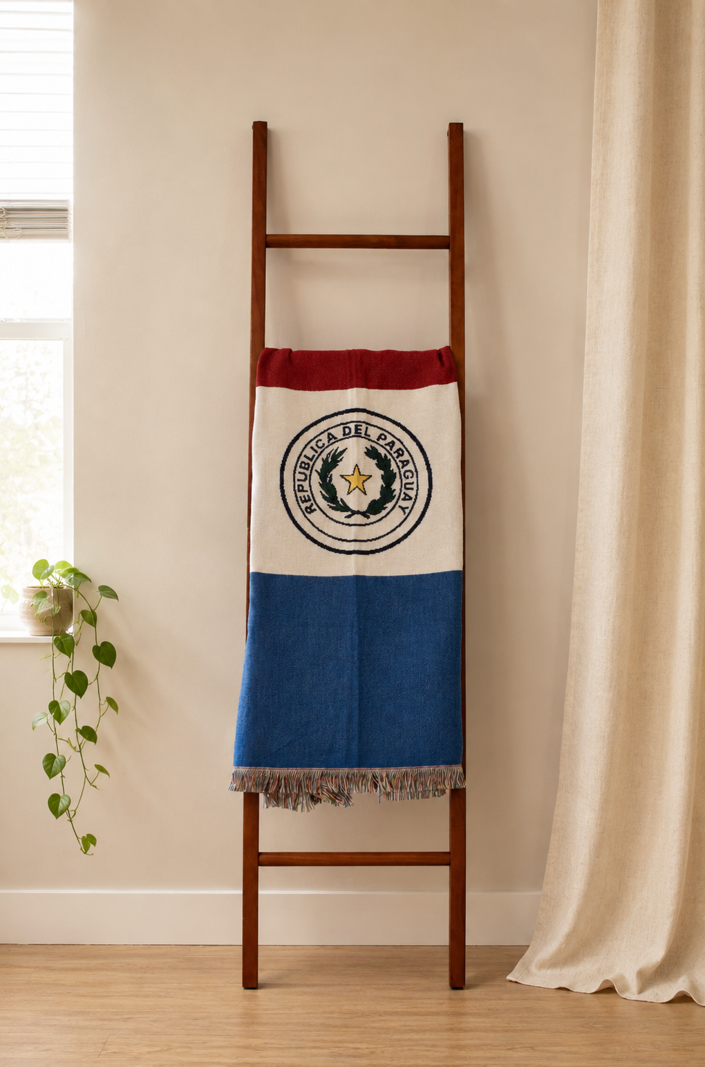 Paraguay Woven Throw Blanket